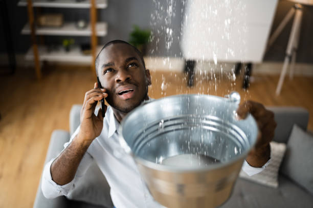  Harvard, NE Water damage restoration Pros