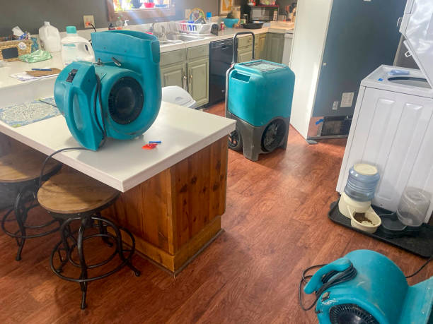 Best Residential water damage restoration  in Harvard, NE