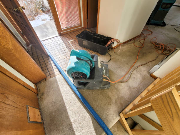 Best Water damage restoration mold remediation  in Harvard, NE