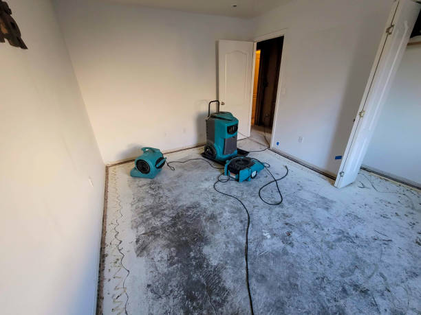 Best Water damage restoration specialists  in Harvard, NE