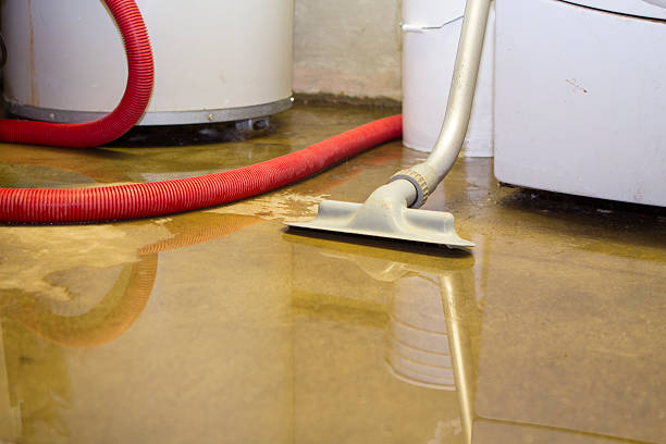 Best Local water damage restoration  in Harvard, NE