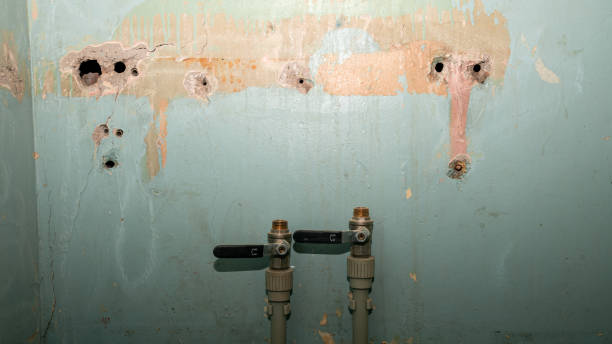 Best Sewage cleanup and water damage restoration  in Harvard, NE