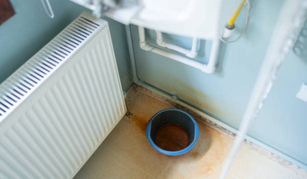 Best Water damage restoration insurance claims  in Harvard, NE